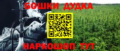 прущие грибы Тара