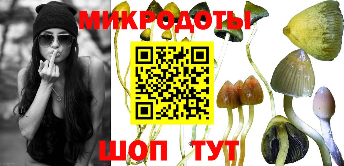 Псилоцибиновые грибы мухоморы Луховицы