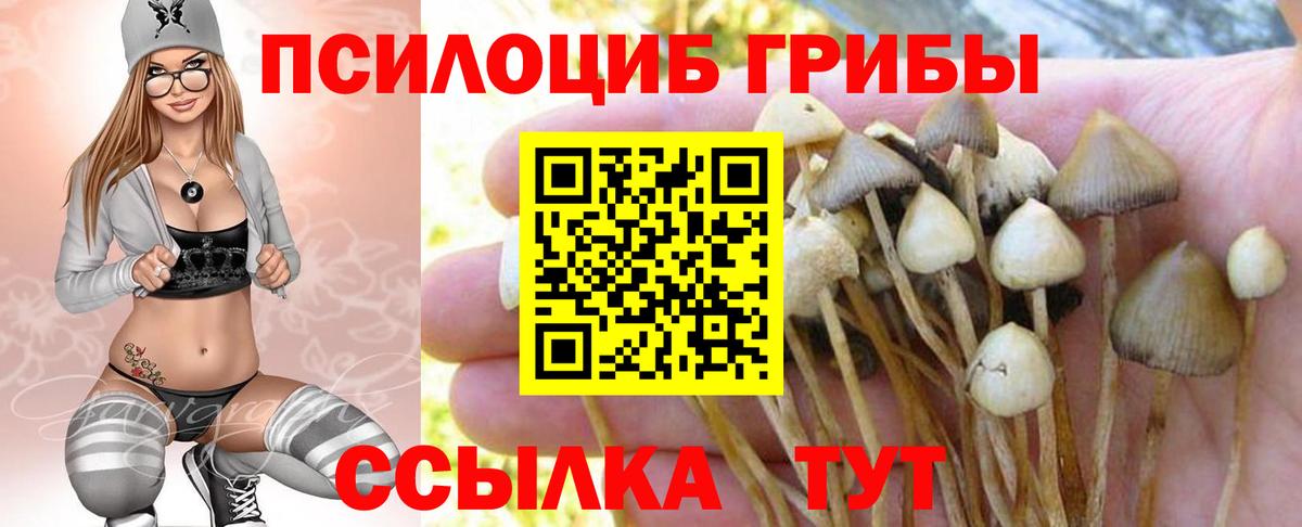 Псилоцибиновые грибы прущие грибы  Псилоцибиновые грибы Psilocybe  Луховицы  Вход с VPN 
